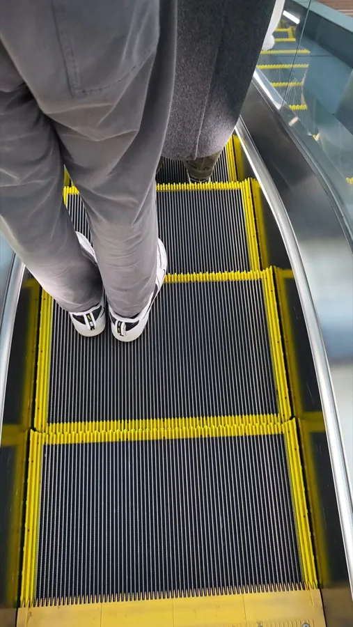 Skyline 相册封面